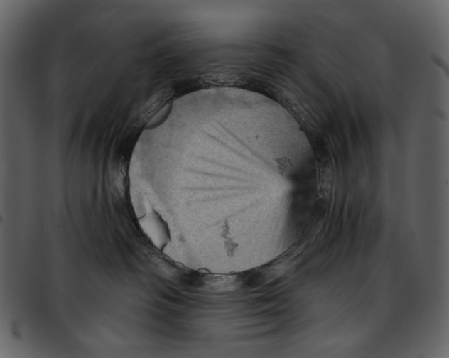 X0000096950334200802291102