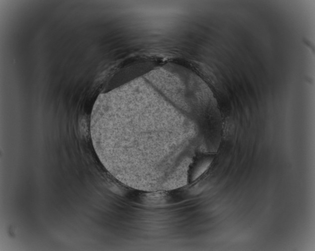 X0000096950335200802291102