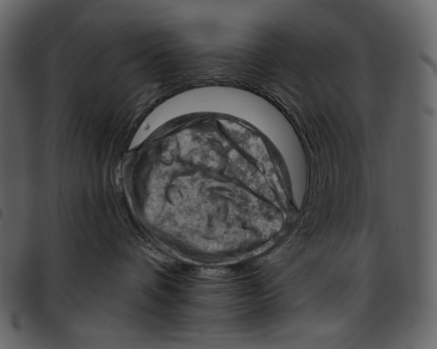 X0000096950336200802291102