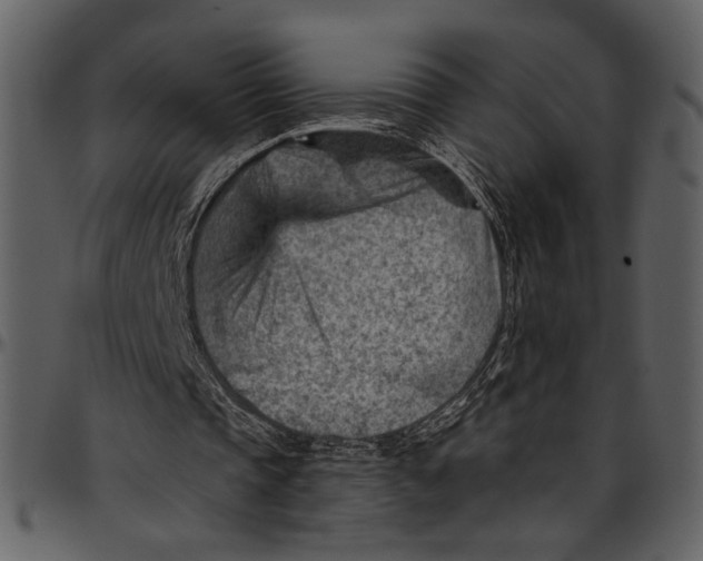 X0000096950337200802291101