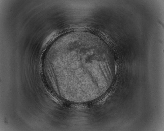 X0000096950339200802291101