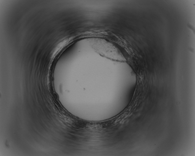 X0000096950340200802291101