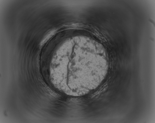 X0000096950341200802291101