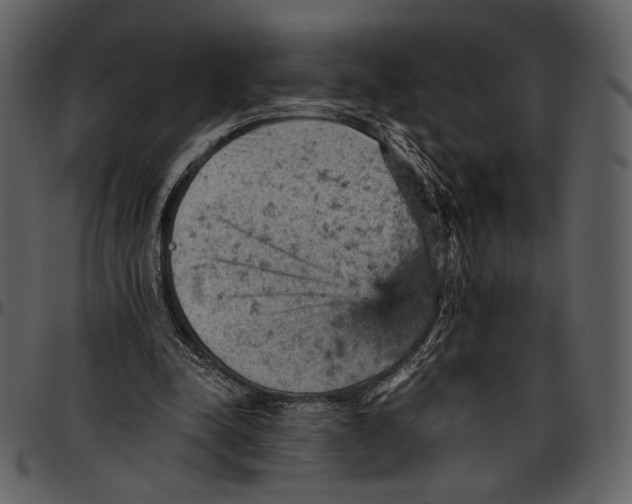 X0000096950342200802291101