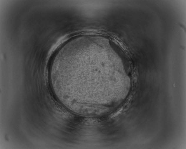 X0000096950343200802291102