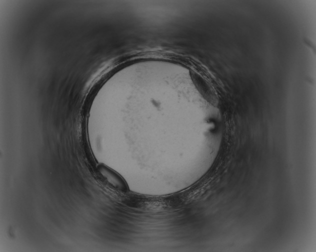 X0000096950344200802291102