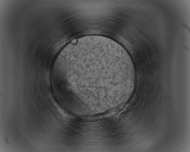 X0000096950345200802291102