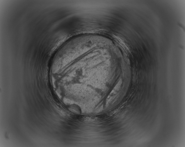 X0000096950346200802291102