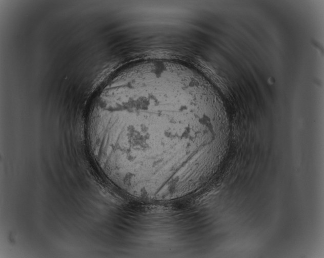 X0000096950347200802291102