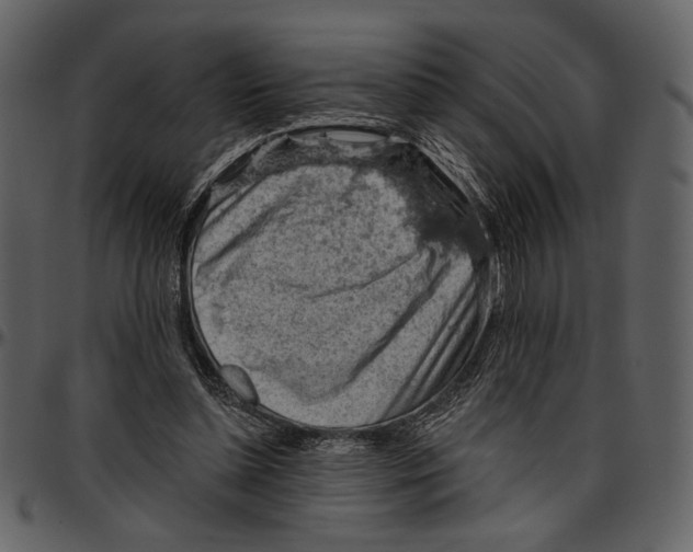 X0000096950348200802291102