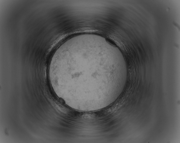 X0000096950350200802291102