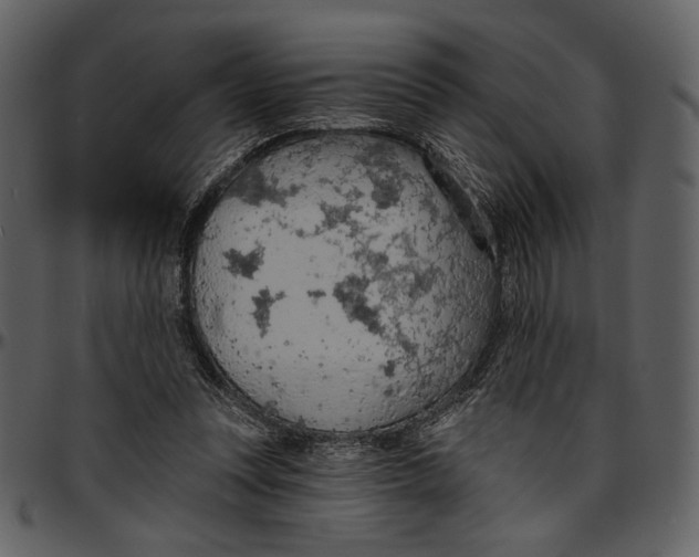 X0000096950351200802291102