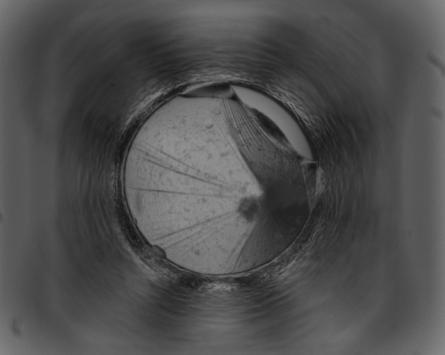 X0000096950352200802291102