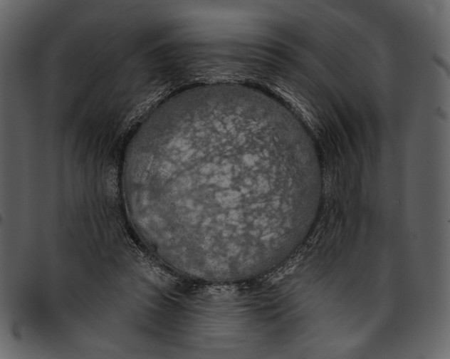 X0000096950353200802291102