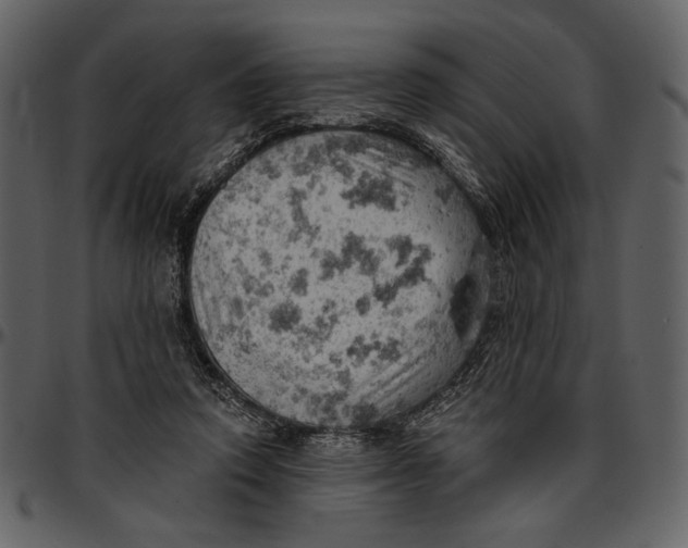 X0000096950354200802291102