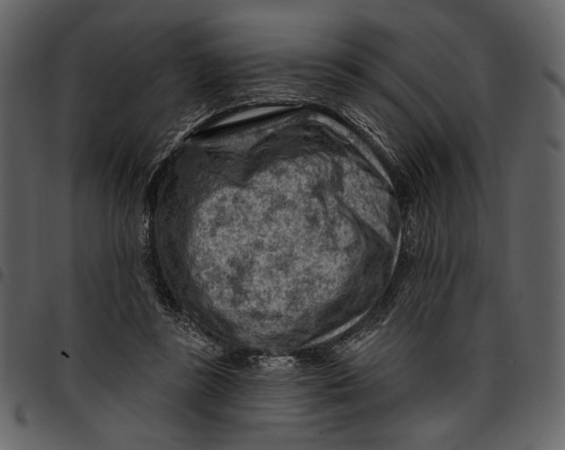 X0000096950355200802291102