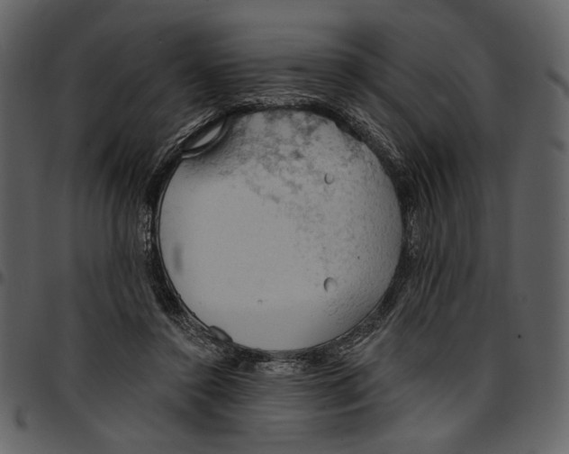 X0000096950356200802291102