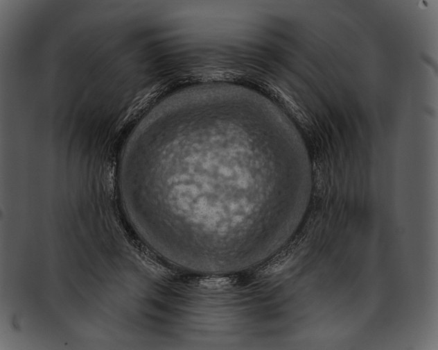 X0000096950357200802291102