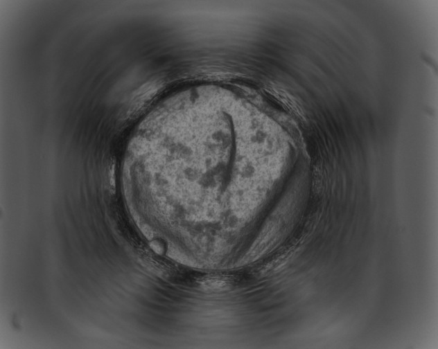 X0000096950358200802291102