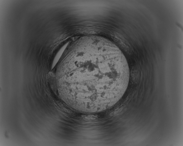 X0000096950359200802291102