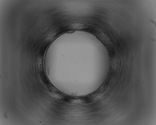 X0000096950360200802291102