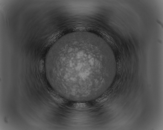 X0000096950361200802291102