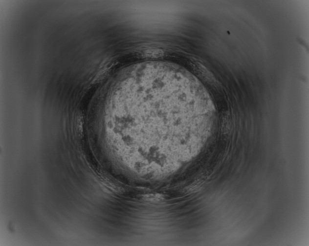 X0000096950363200802291102