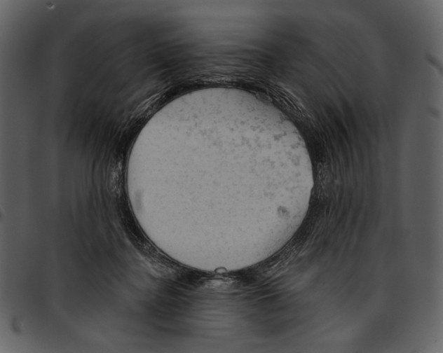 X0000096950364200802291102