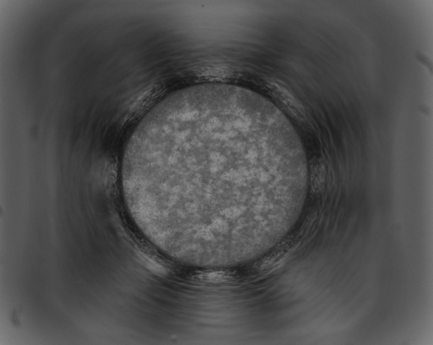 X0000096950365200802291102