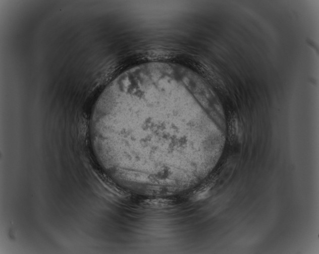 X0000096950367200802291102