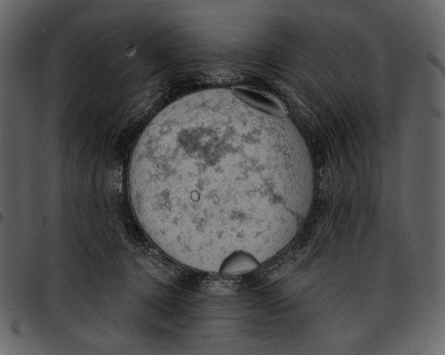 X0000096950368200802291102