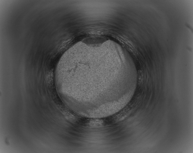 X0000096950369200802291102