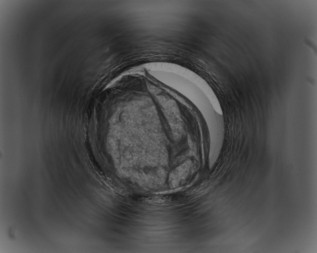 X0000096950370200802291102