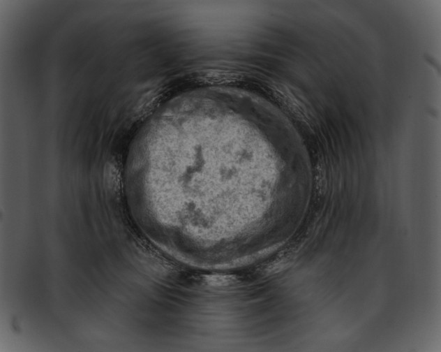 X0000096950371200802291102