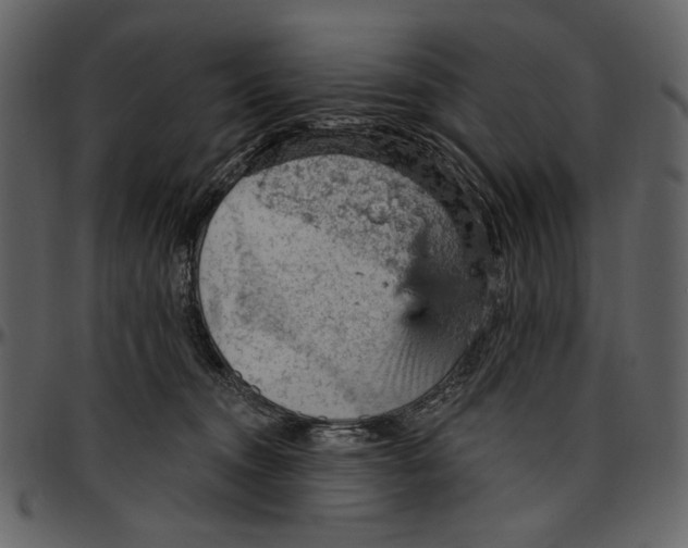 X0000096950372200802291102