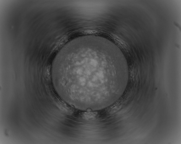 X0000096950373200802291102