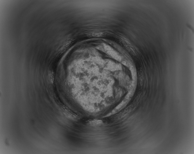 X0000096950374200802291102