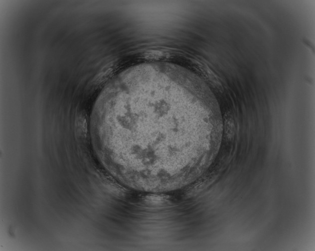 X0000096950375200802291102