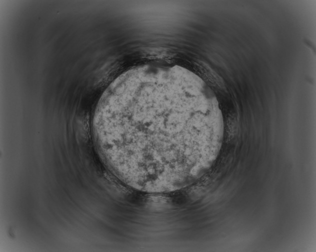 X0000096950376200802291102