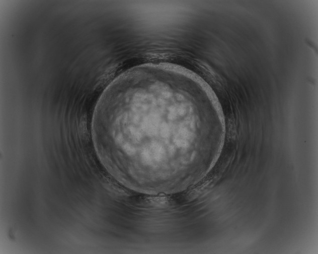 X0000096950377200802291102