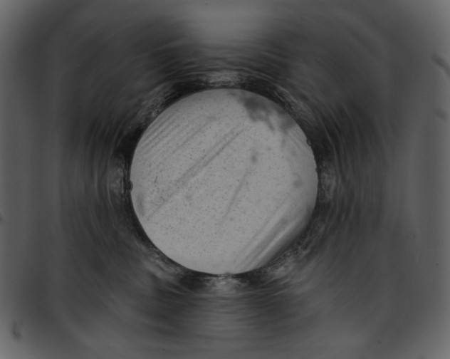 X0000096950379200802291102