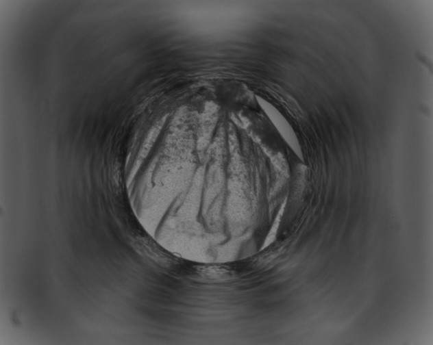 X0000096950380200802291102