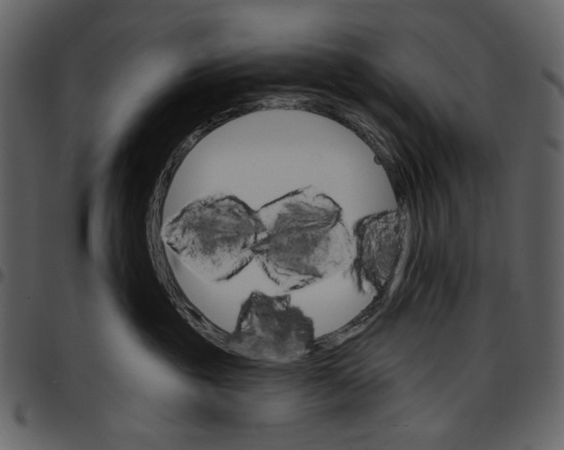 X0000096950381200802291102