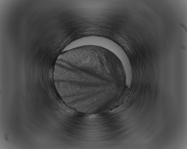 X0000096950382200802291102