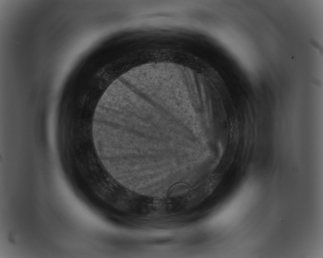 X0000096950383200802291102