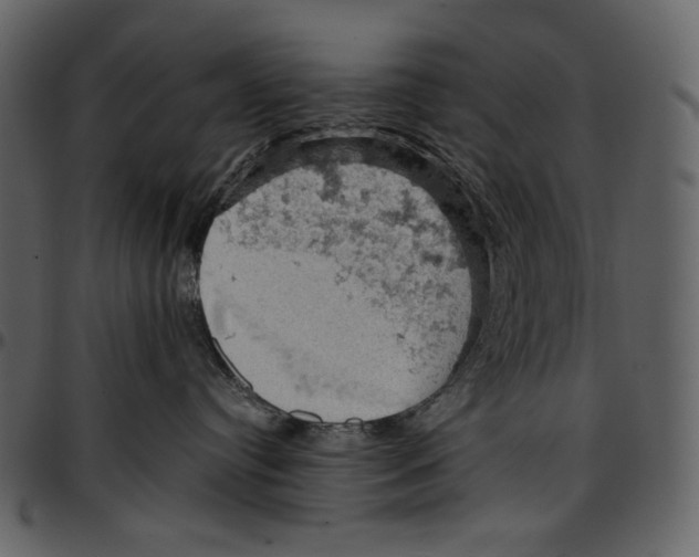 X0000096950384200802291102