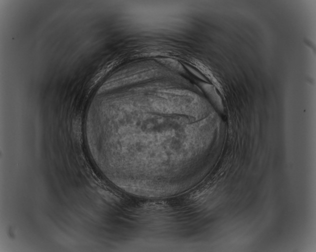 X0000096950386200802291101