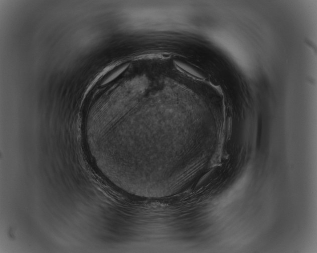 X0000096950387200802291101