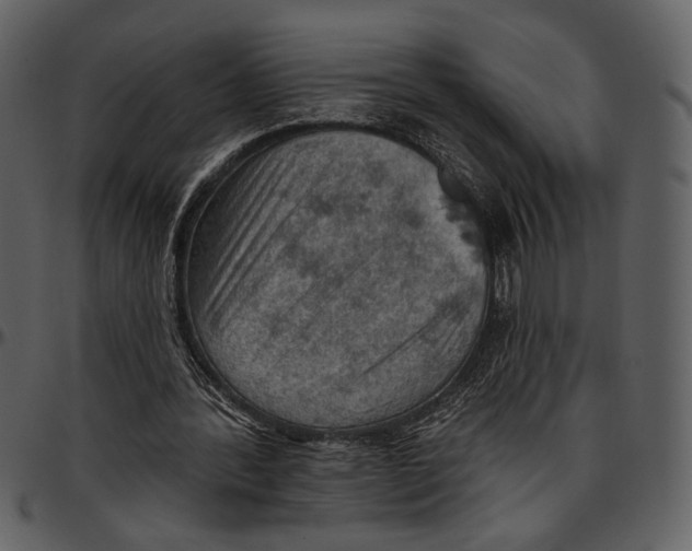 X0000096950388200802291101