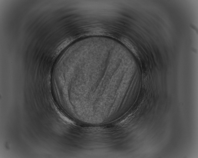 X0000096950389200802291101